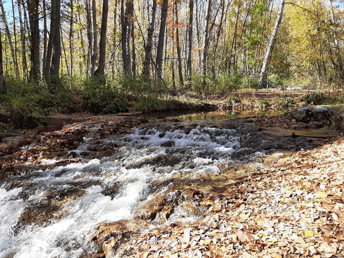 CHJucar's tweet photo. 3⃣Por último, se han realizado dos actuaciones para mejorar el ecosistema del río.
👉Eliminación de estación de aforo ⛏️ en desuso y adecuación del cauce, en Tramacastilla.
👉Construcción de una #RampaParaPeces🐟#FishLadders en el río, en Torres de Albarracín. https://t.co/gh76flElkG