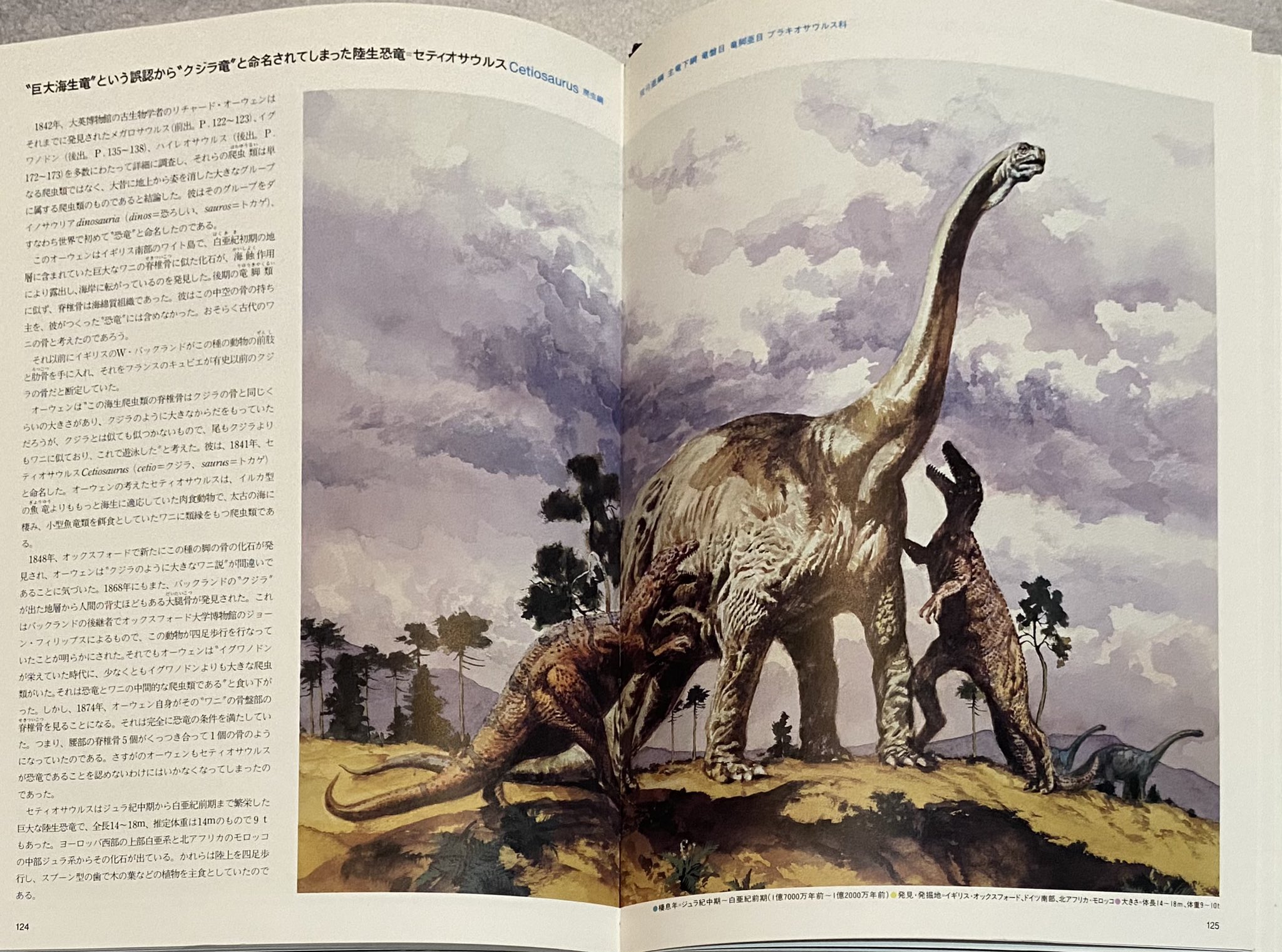 恐竜の絵　直筆　地球絶滅恐竜記