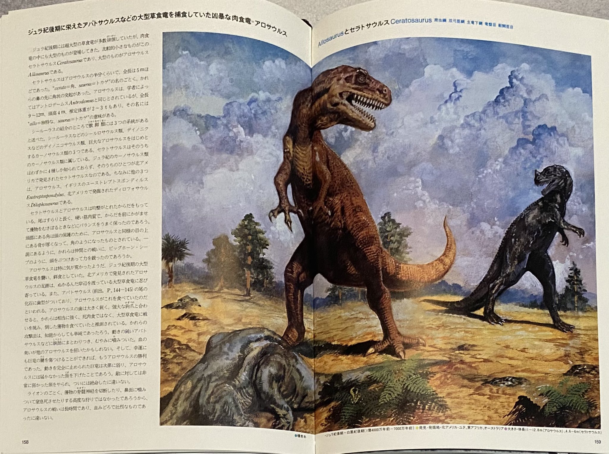大久保泰 油彩6号 初春の舞妓 - 絵画 大久保泰 油彩6号 初春の舞妓 - 絵画