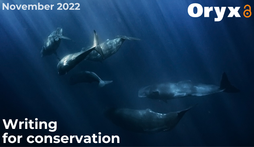 OryxTheJournal's tweet photo. 🐋Nov 2022 issue out now!🐒
The special section highlights 10 articles by participants of the Oryx & @CLPawards #WritingForConservation workshops. From sperm whales to frogs, tigers to titi monkeys, it shows writing is a key skill, no matter the topic.
⬇️
https://t.co/oF15WCxFMM https://t.co/oQnnBTl79c