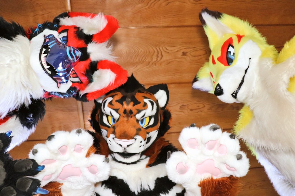Alex Tiger ꉂꉂ🐯 on Twitter: 