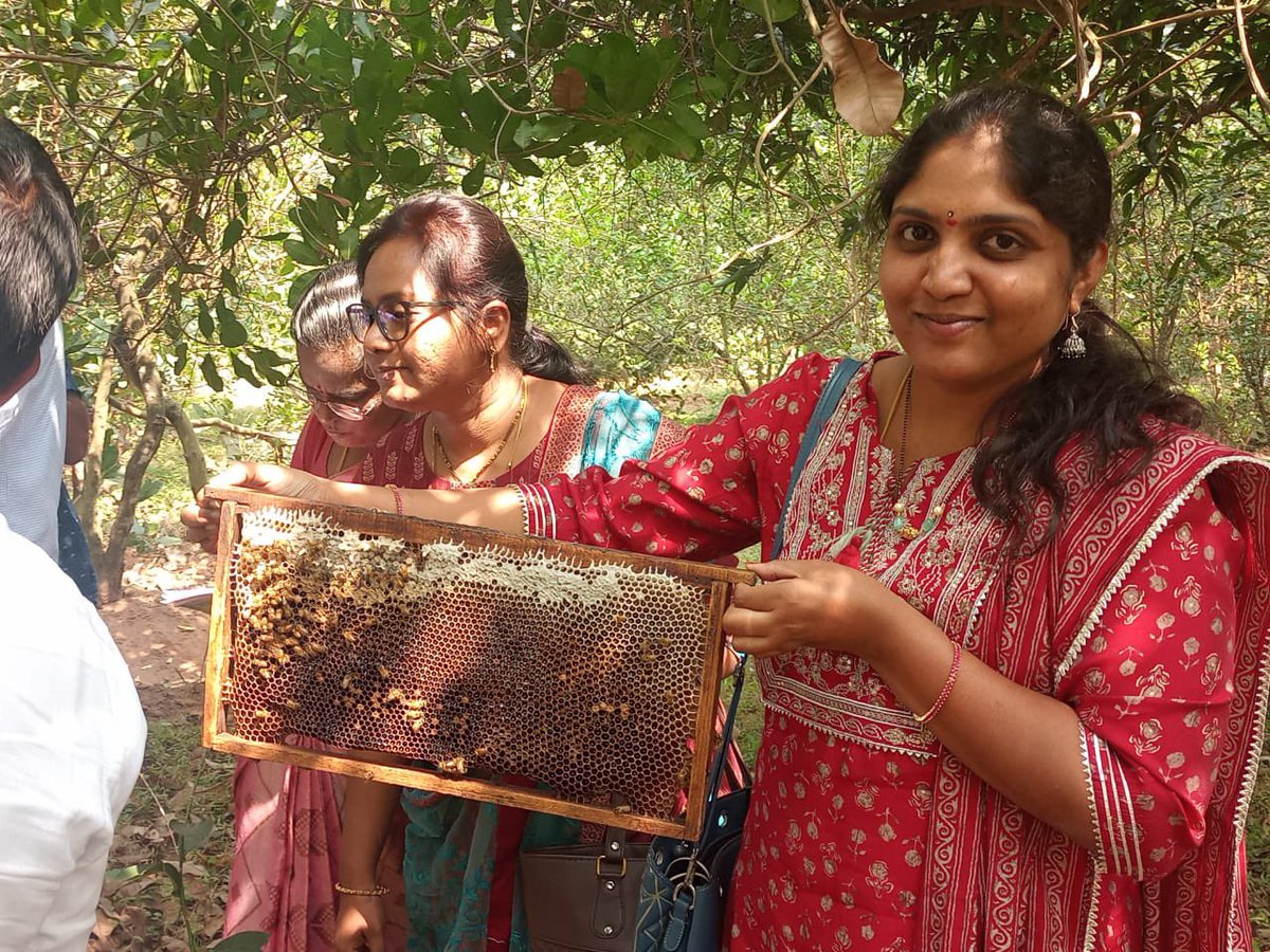 nimsmeeconnect's tweet photo. Participants of Training on Beekeeping at Samarlakota in Andhra Pradesh on field visit to apiary and honey processing unit. #nimsme #MSMEs #Entrepreneurship #Hyderabad #AndhraPradesh #Samarlakota #HoneyBee #Keeping #Honey #Honeybee #national #honeybee #mission #NHBM https://t.co/B2o9hWqtj9