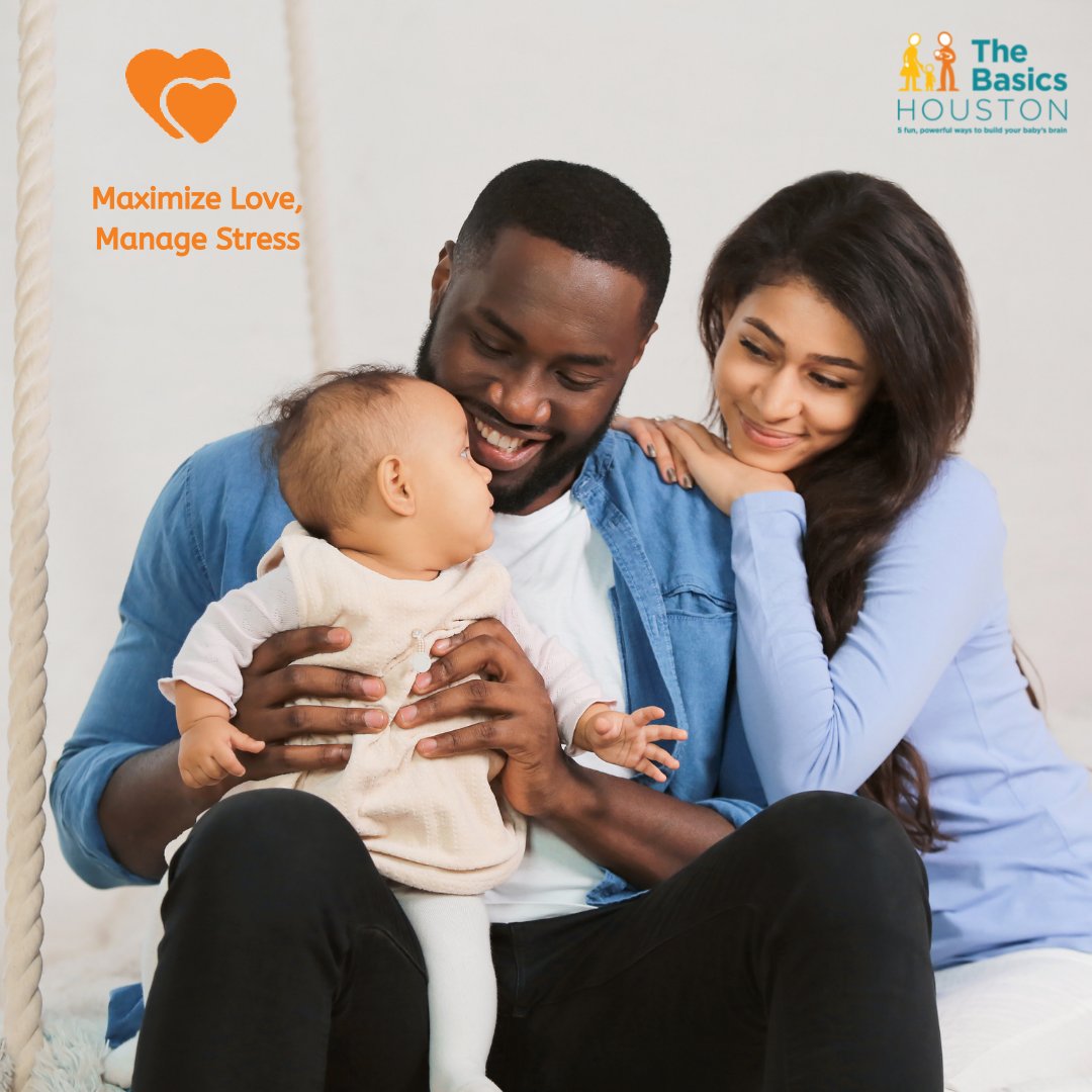 The Basics Houston tweet media