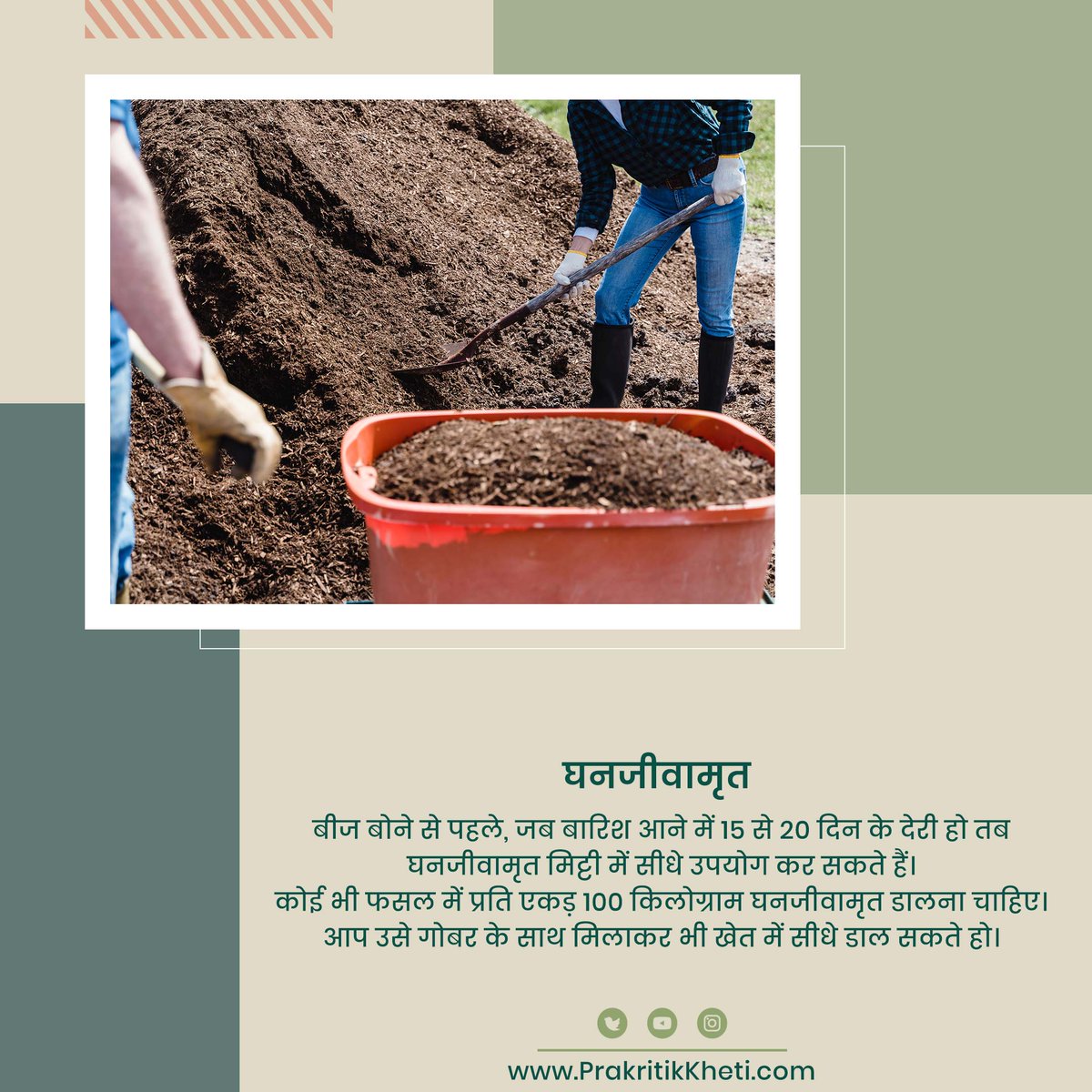 Follow👉<a href="/prakritikkheti/">પ્રાકૃતિક ખેતી</a>

#sustainable #sustainability #healthyliving #knowyourfarmer #homegrown #organicfarmer #naturalfarming #organiclife #spnf #farminglife #india #healthy #agriculturelife #organicgarden #harvest  #zbnf #farmersmarket #flowers #vegetablegarden #Ghanjivamrit
