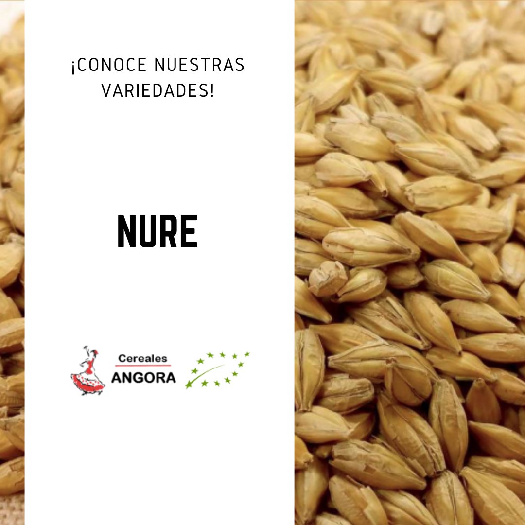 Semilla de cebada ecológica con alta productividad y rusticidad. Posee una gran resistencia al frío y una maduración medio-precoz. 🌾

¿Quieres saber más sobre nuestras semillas? Echa un vistazo a nuestra web o ponte en contacto con nosotros para más información 📞 926 400 023