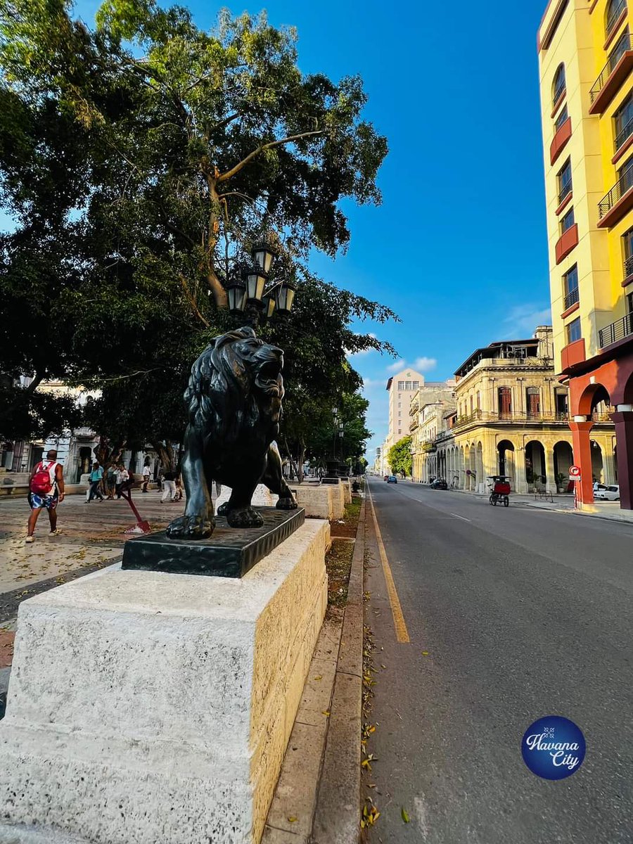 ShadowsOfGreys's tweet photo. 🎶 Habana,
Hermosa Habana
Lindo es tu Prado
Lindas son tus calles
Bello es tu mar

Habana,
A ti llega mi canto
Como el gemir de violines
Q sólo tocan para ti
Se ven en el cielo azul volar
Palomas como símbolo de paz
Q es la gloria para ti
Habana 🎵

#Habana503
#LaHabanaDeTodos ❤️ https://t.co/6qwQ6HpGdd