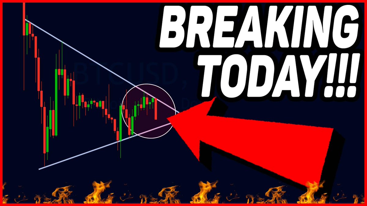 🌸 Qi 馨 tweet media