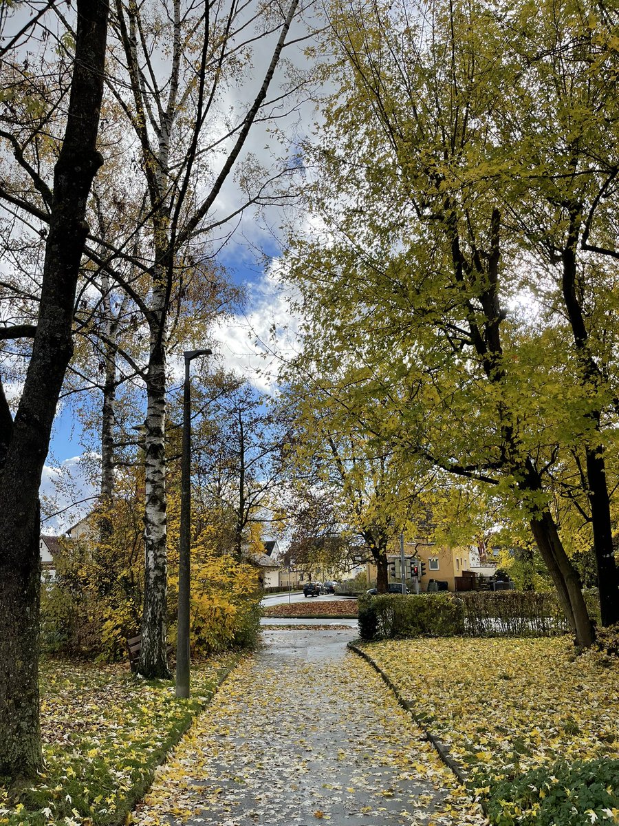 Protonaandy's tweet image. In the morning solitude
I discovered myself
As the lover of nature
Of all things that have a soul
#FromOneLine #thoughts #words #soul #solitude