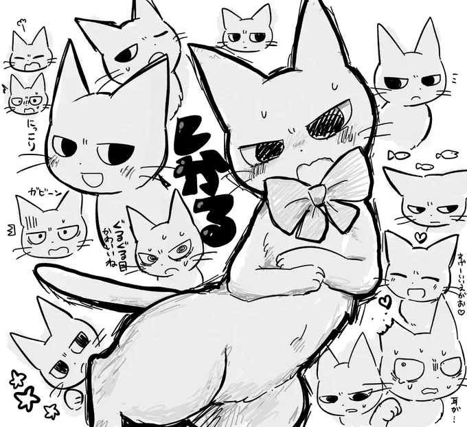しかる 