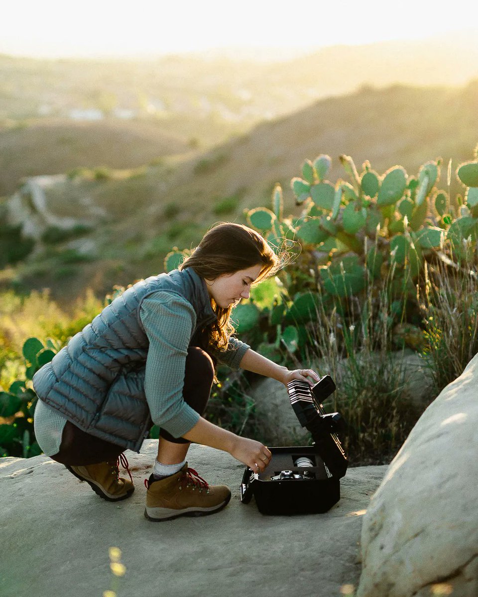 Evergreen tweet media