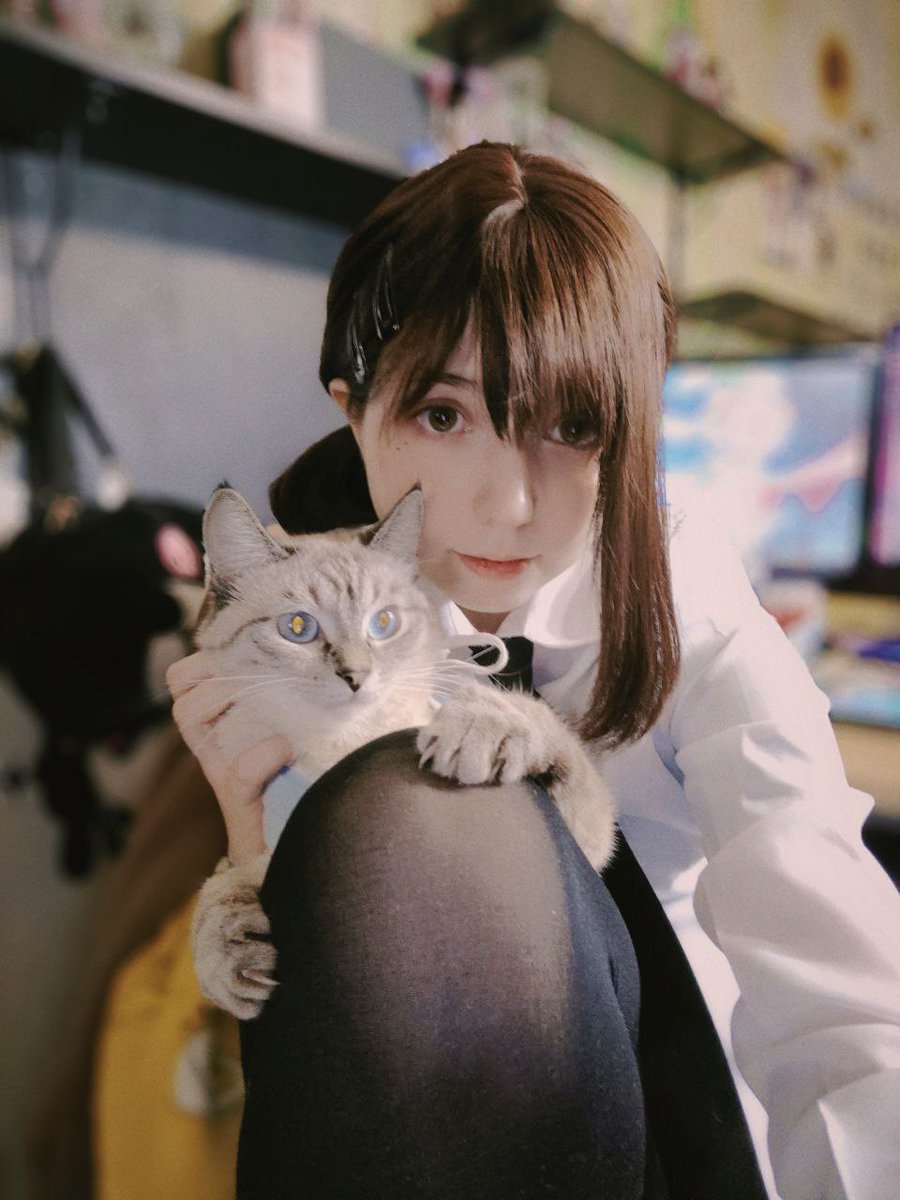 Puremurr's tweet photo. Пока фоткалась, прибежала булка 〜⁠(⁠꒪⁠꒳⁠꒪⁠)⁠〜 https://t.co/PtSDh01XbD