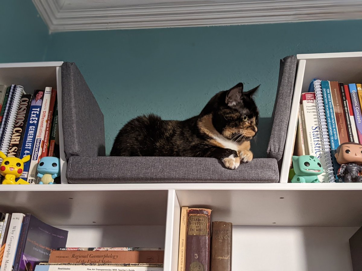 Shepard approves of my work setup.