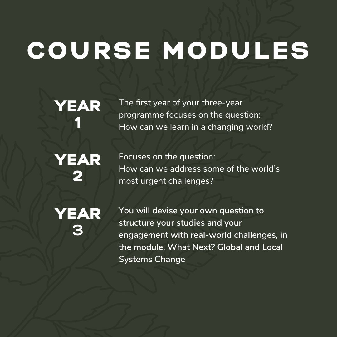 Our single degree programme, BA(Hons) Sustainable Futures: Arts, Ecology and Systems Change,  combines insights from arts and sciences, political economy and creative and professional practice...