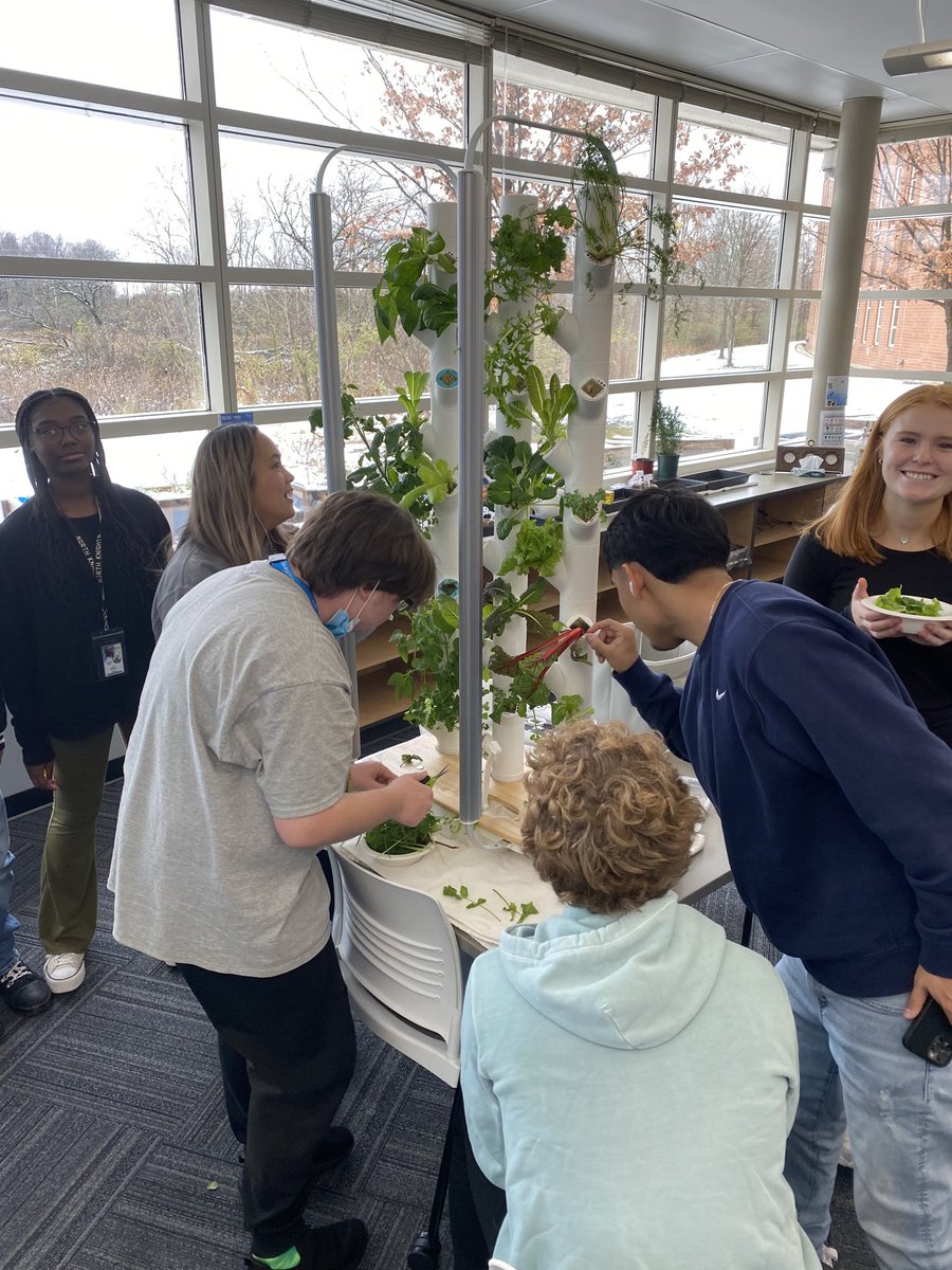 Refresh day means harvest day! #Saladbar #SnowGardyn ⁦<a href="/Gardyners/">Gardyn</a>⁩ ⁦<a href="/MrsNBusse/">nathania busse</a>⁩