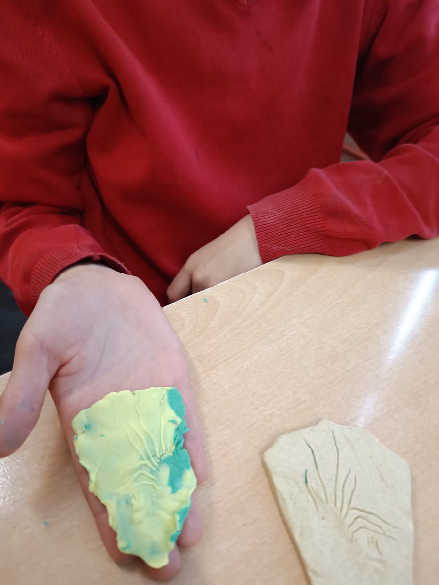 Roscoe_Primary's tweet photo. Exploring fossilisation in year 6 #RP_science #RP_year6 https://t.co/TKLy4xMRKe