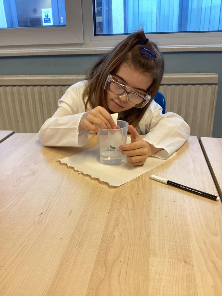 smc_brixham's tweet photo. This week my super scientists took on the challenge of paper chromatography to discover which felt-tip pen I had used to write a message. They quickly mastered it and solved the mystery! Mrs B #Science https://t.co/SokJ2Axkkv
