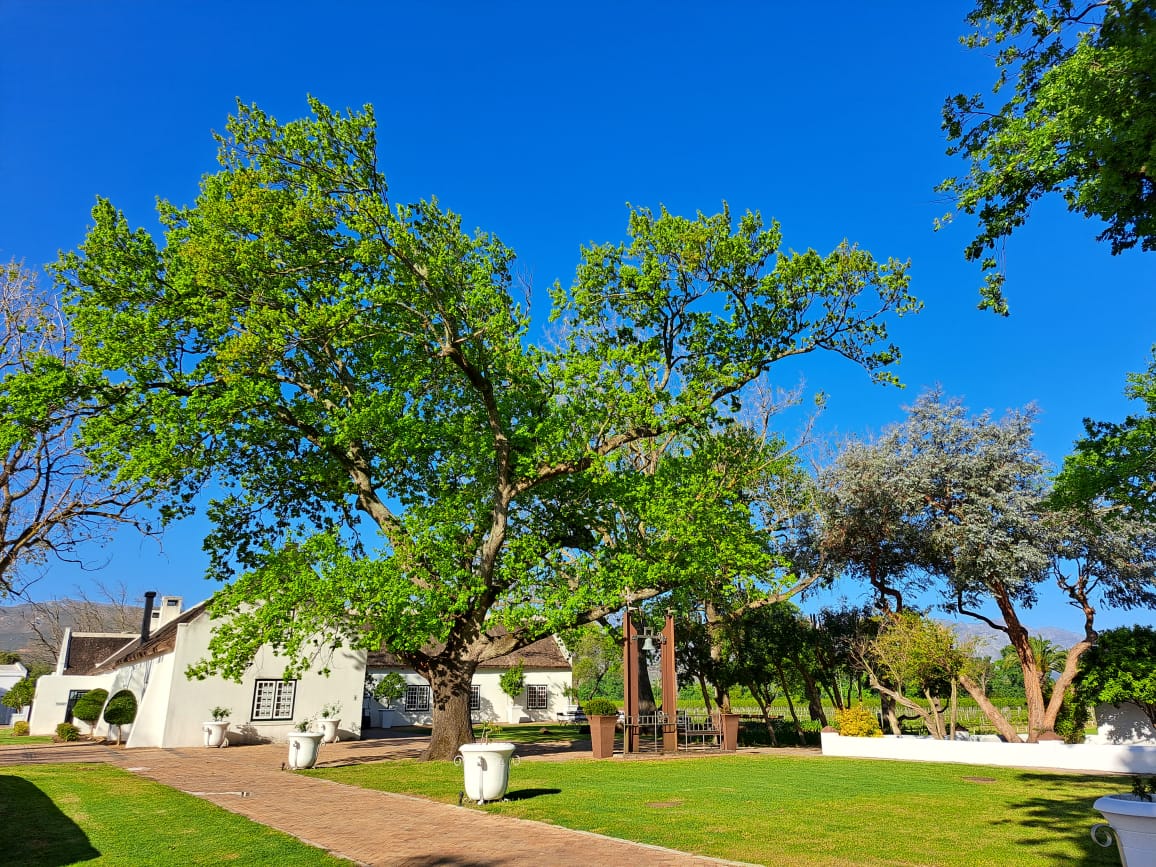 Allée Bleue Estate (@alleebleue) on Twitter photo Make this weekend special - come and experience Allée Bleue - book a picnic and linger even longer. We're family-friendly and always ready to welcome you.
For more info and bookings:
alleebleue.co.za/experiences/
#AlleeBleueExperiences <a href="/Franschhoek_SA/">Franschhoek Wine Valley</a> Make this weekend special - come and experience Allée Bleue - book a picnic and linger even longer. We're family-friendly and always ready to welcome you.
For more info and bookings:
alleebleue.co.za/experiences/
#AlleeBleueExperiences <a href="/Franschhoek_SA/">Franschhoek Wine Valley</a>