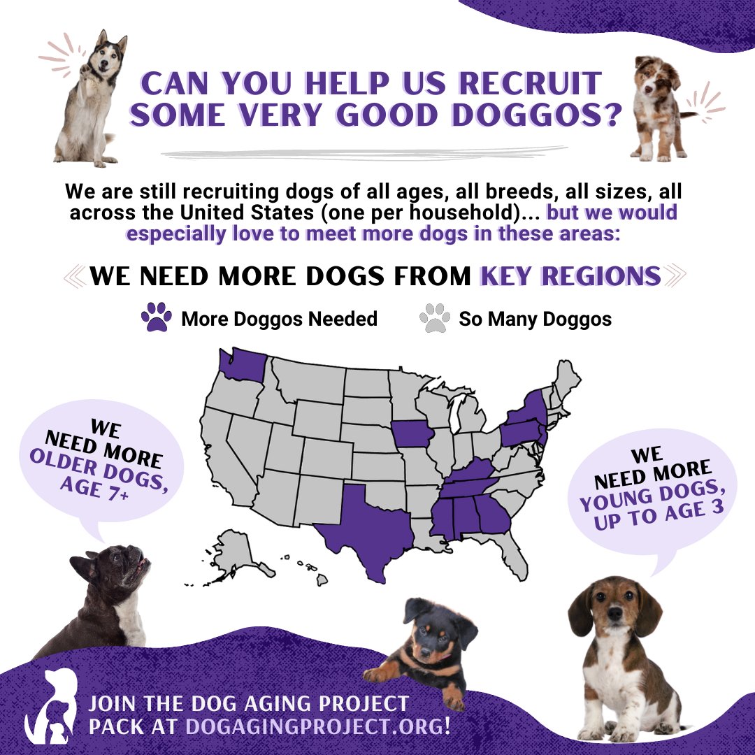 Help #SpreadTheWord! We are still recruiting dogs of all ages, all #breeds, all sizes, all across the US (one per household) ... but we would especially love to meet more #dogs in these areas (see📸). 

🐾Join the Dog Aging Pack at dogagingproject.org
#tellafriend #doggos