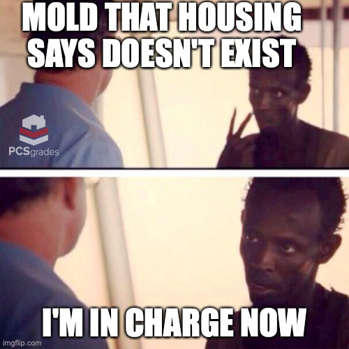 Nothing is spookier than mold in the house. Tell us if this has happened to you and where you were stationed.

#militarylife #militaryhousing #milspouse #basehousing #militaryhumor