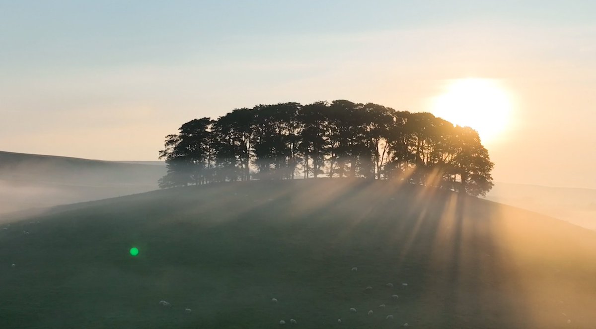 yorkshire_dales's tweet photo. Local photographer, Alex William Helin shared his spectacular video with us, showcasing the Yorkshire Dales throughout the seasons.

Take a look 👉 https://t.co/tehR4gtTwt

The #YorkshireDales National Park was designated on this day in 1954 🎂 

🎥  https://t.co/hwVfvB9eVv https://t.co/EyjXWeA6bM
