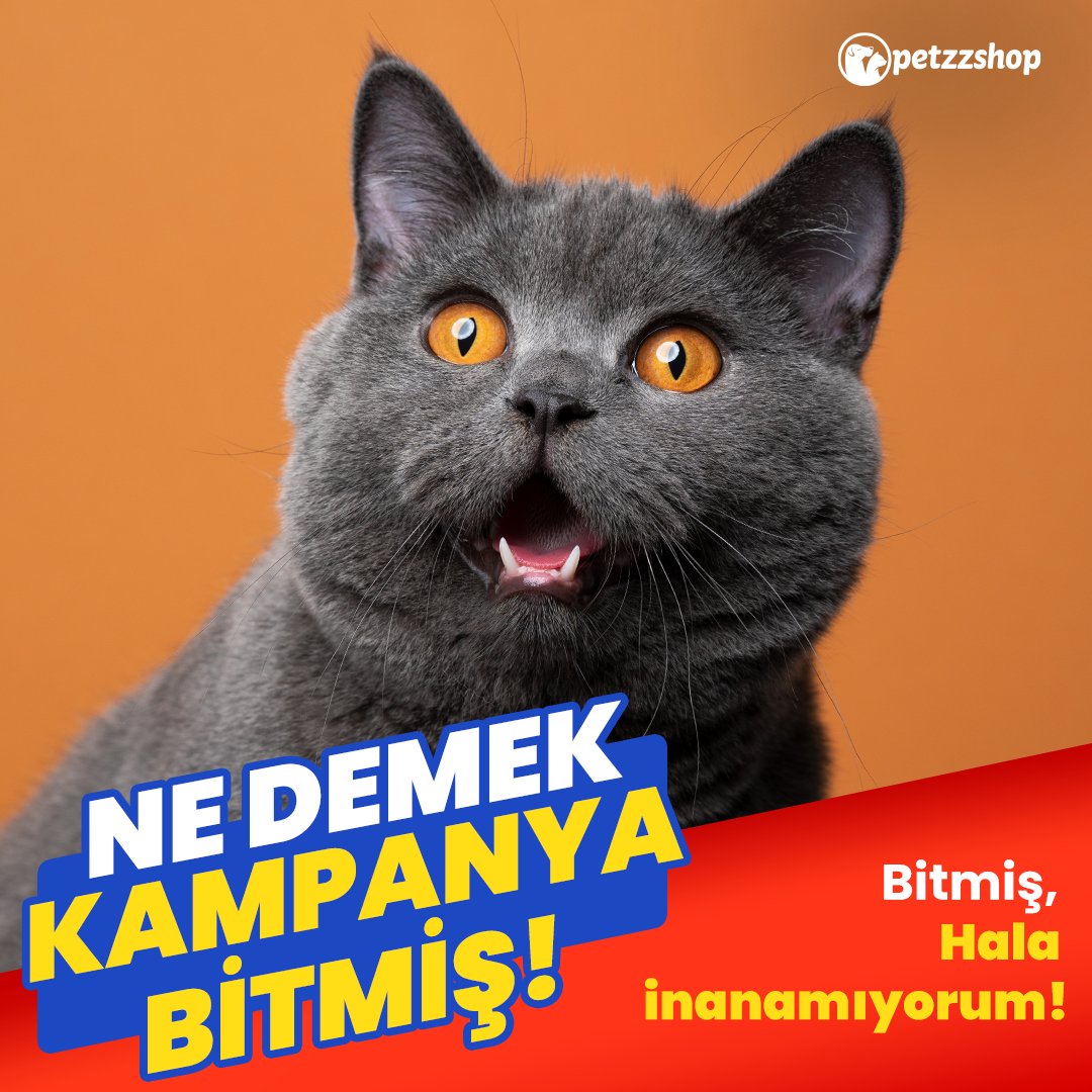 Merak etmeyin biz bitti demeden bitmez! Takipte kalın.😻

#PetzzShop #köpekyavrusu #köpeksever #köpekcik #sevimlidostlar #kedicikler #kediaski #kediyavrusu #kedicikler