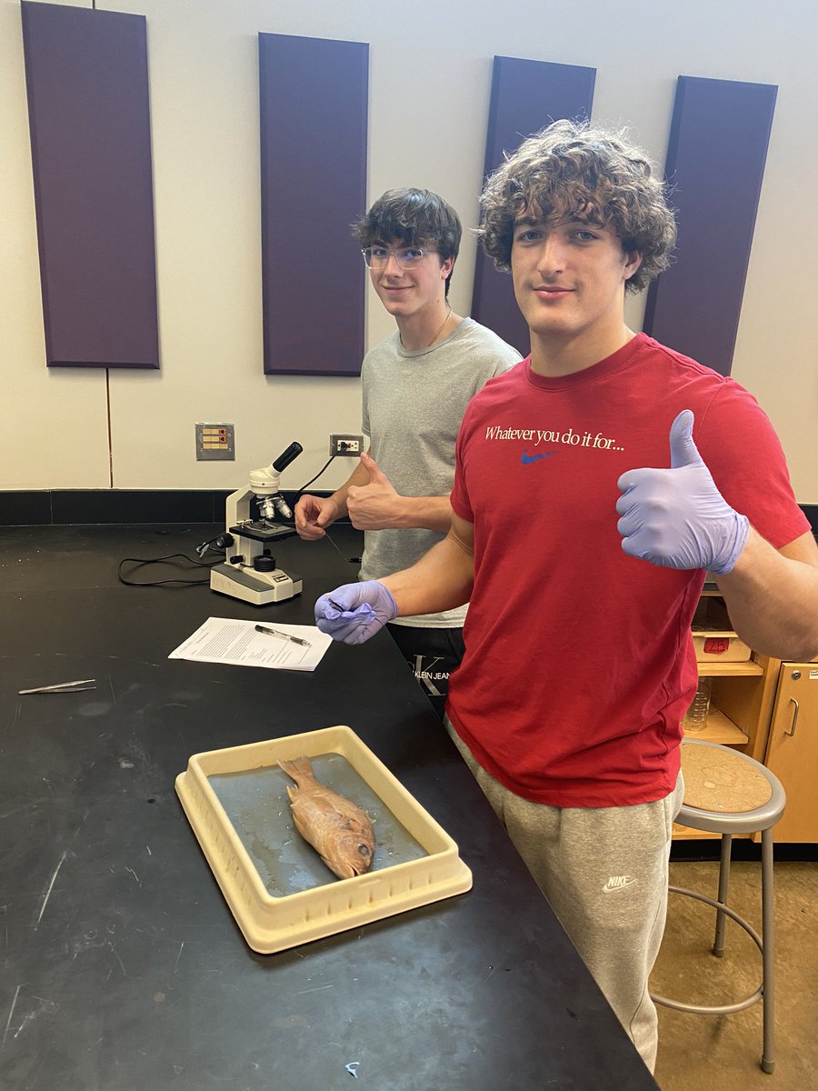 RienasScience's tweet photo. Perch Dissection π #bot/zoo #Rscience #doingscience https://t.co/MQv7SqlONJ