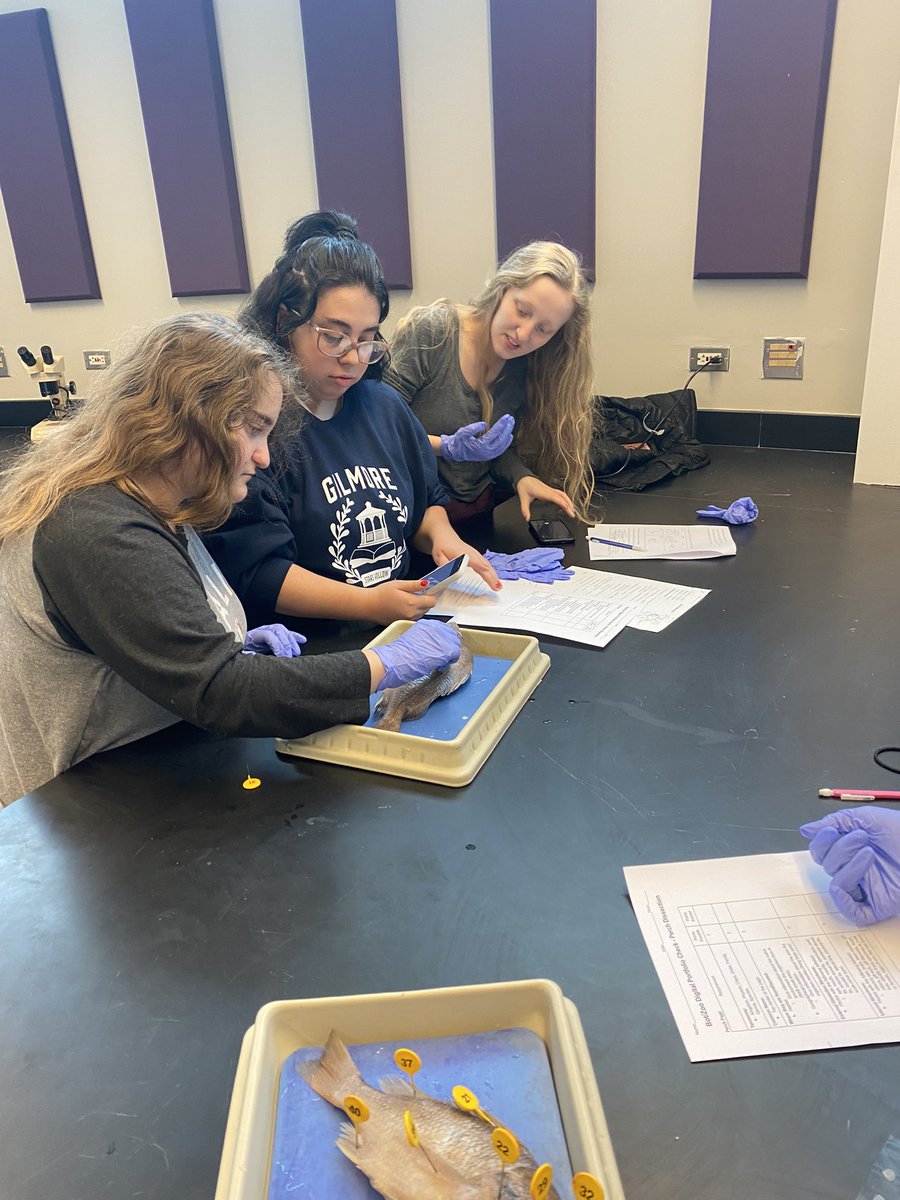 RienasScience's tweet photo. Perch Dissection π #bot/zoo #Rscience #doingscience https://t.co/MQv7SqlONJ