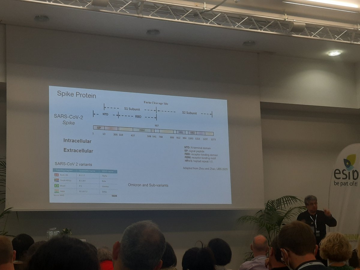 synBIOcarb's tweet photo. Interesting sessions on engineering glycosylation for protein expression in Pichia pastoris and development of Covid-19 mAbs. @NatDanielewicz @kundalia_paras #glycans #glycosylation #protein expression #pichia https://t.co/cDyqkSt7Mt