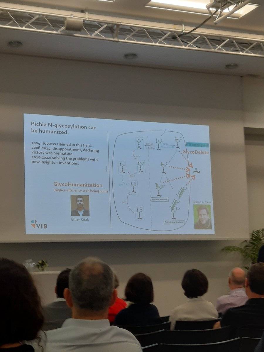 synBIOcarb's tweet photo. Interesting sessions on engineering glycosylation for protein expression in Pichia pastoris and development of Covid-19 mAbs. @NatDanielewicz @kundalia_paras #glycans #glycosylation #protein expression #pichia https://t.co/cDyqkSt7Mt