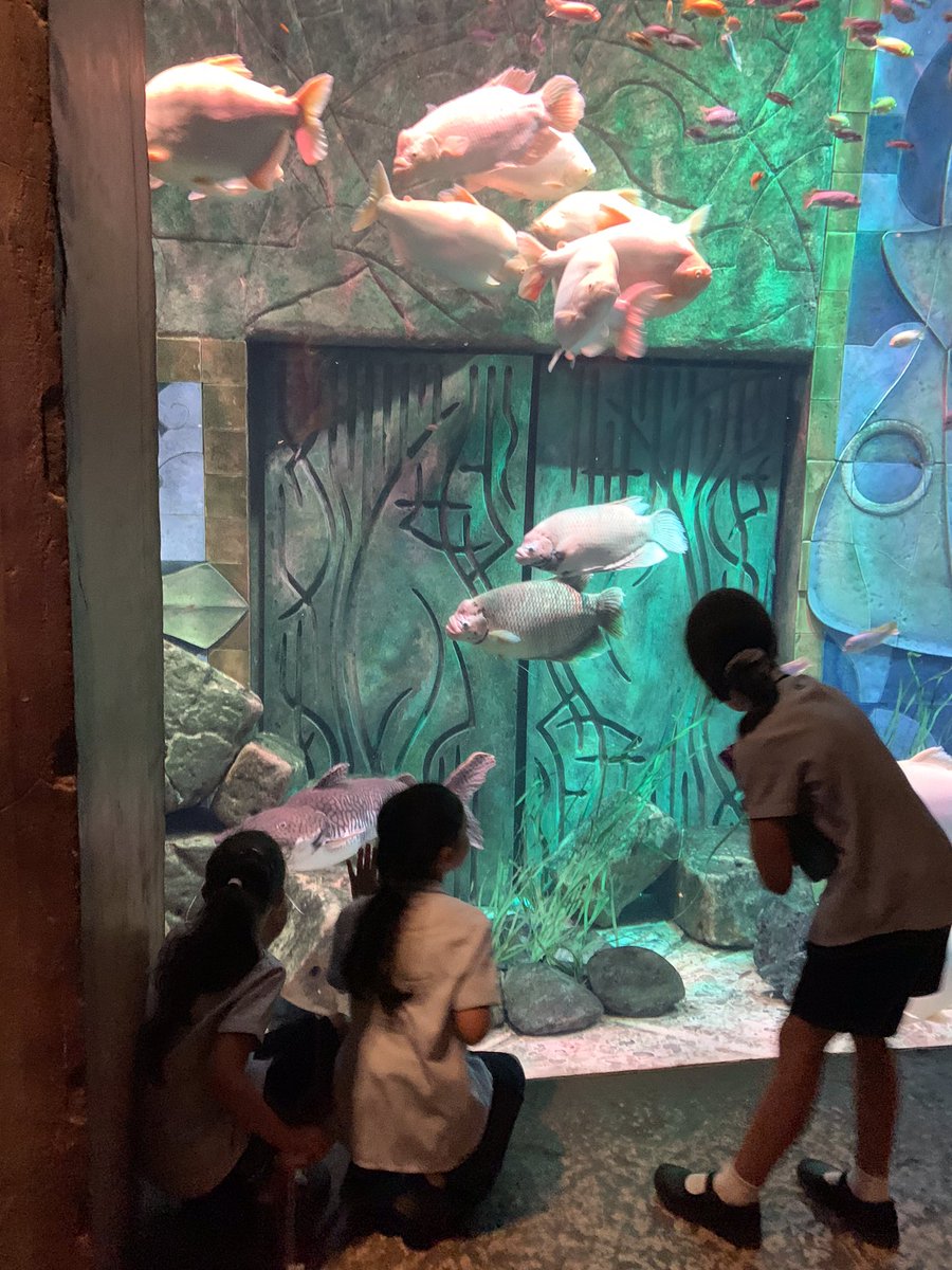JESSJumeirahYR4's tweet photo. Year 4 have been to @ATLANTIS this week to visit their Lost Chambers aquarium. We have had an amazing time! We learnt so much from their experts about underwater animals. #JESSJumTopic https://t.co/Q36fzq61Hx