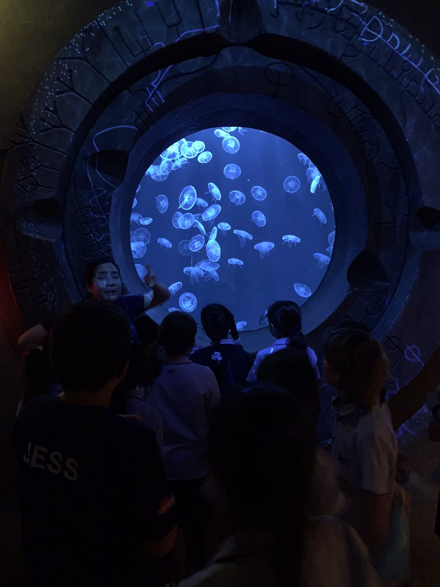 JESSJumeirahYR4's tweet photo. Year 4 have been to @ATLANTIS this week to visit their Lost Chambers aquarium. We have had an amazing time! We learnt so much from their experts about underwater animals. #JESSJumTopic https://t.co/Q36fzq61Hx