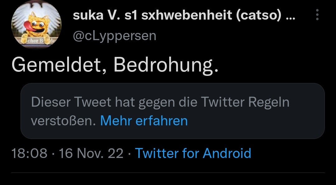 clyppers ᓚᘏᗢ ✪ 🇺🇦 🇪🇺 tweet media