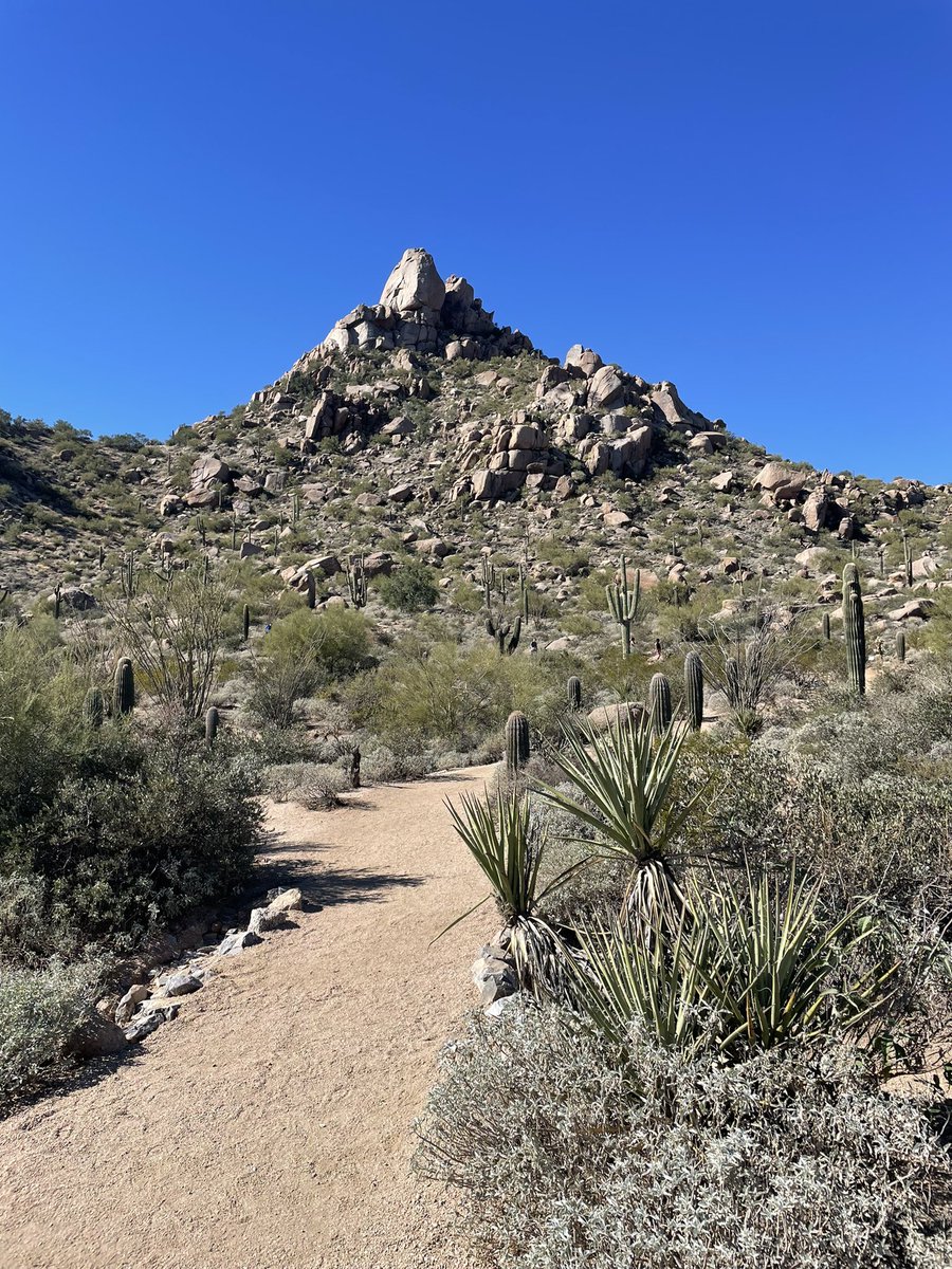 samply_w's tweet photo. Week in the life of me: forced to climb small mountain rock (wen @Stepnofficial back???), drink at pool, drink at spa pool, receive $SOLAMI from @LaunchLabs_sol #launchlabspayday #solana TQM solana 🙏🏼💗🙏🏼💗 u my bae #solidweek https://t.co/G6fh38967e