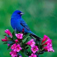 pro__scraper's tweet image. Beauty of Nature!!
💕💕💕💕💕💕💕💕
💕💕💕💕💕💕💕💕
To get business leads (yellow pages, b2b leads),contact here
fiverr.com/share/NY38Ao
fiverr.com/share/qQgvXp
fiverr.com/share/jV1ED9

#pro__scraper #b2b #JO1ANNX #Julián #Argentina #Lionel #Nike #Irene #ポケモン #BUBBLIES