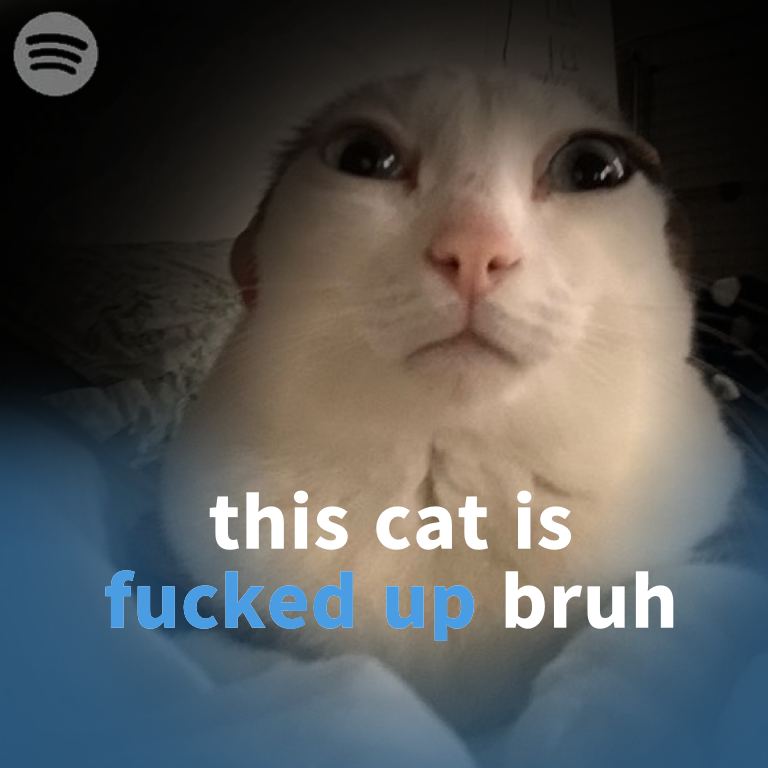 voidluvr04's tweet photo. @CatsHeld https://t.co/8G0F5Y75x7