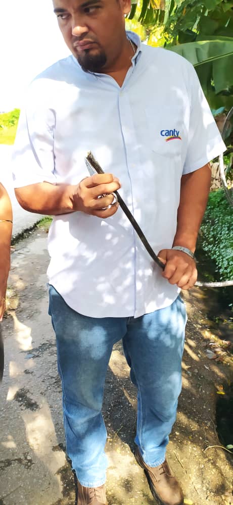 salaprensaCantv's tweet photo. Los trabajos se realizaron en conjunto con la  alcaldía del municipio Diego Ibarra para la recuperación total de los servicios. Contemplaron el tendido de 150 metros de fibra y la reconstrucción de empalmes en las redes 
#ResoluciónAveríasCantv https://t.co/jsUGt2HgjX
