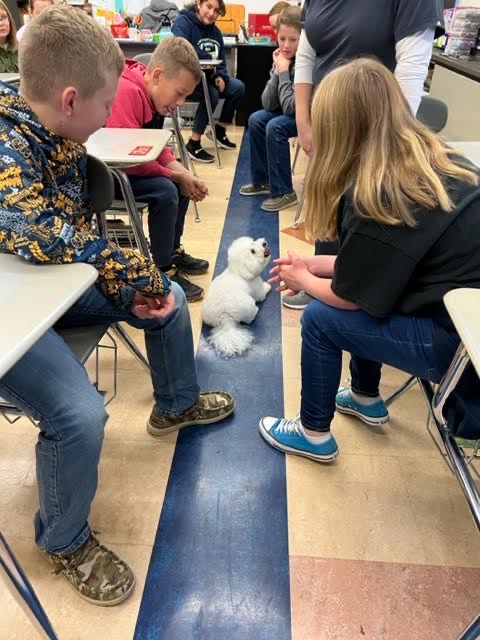 <a href="/JoeWalkerES/">Joe Walker ES</a> welcomed a new edition to the family, Phoebe - our service dog! She was busy greeting students and visiting classrooms!! #loveJW