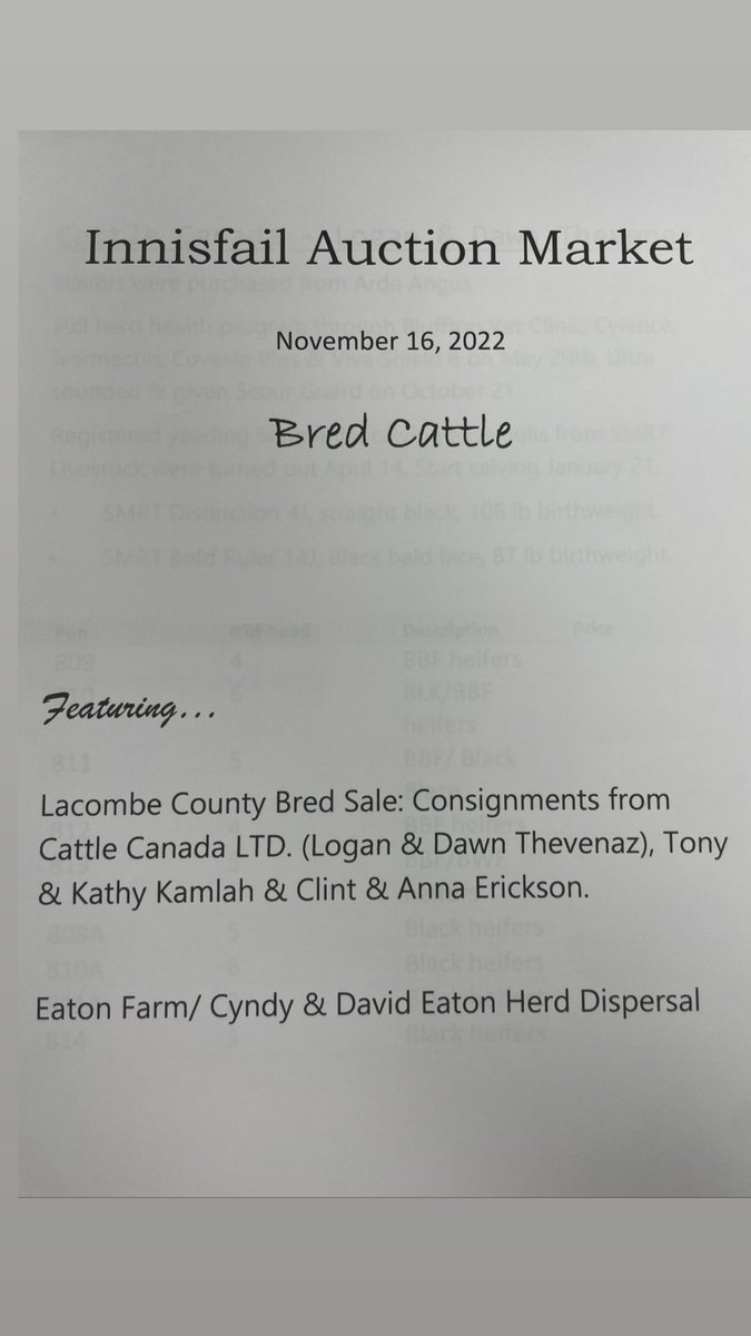 Don’t forget the bred sale today at 1 o’clock! Online broadcast through liveauctions.tv