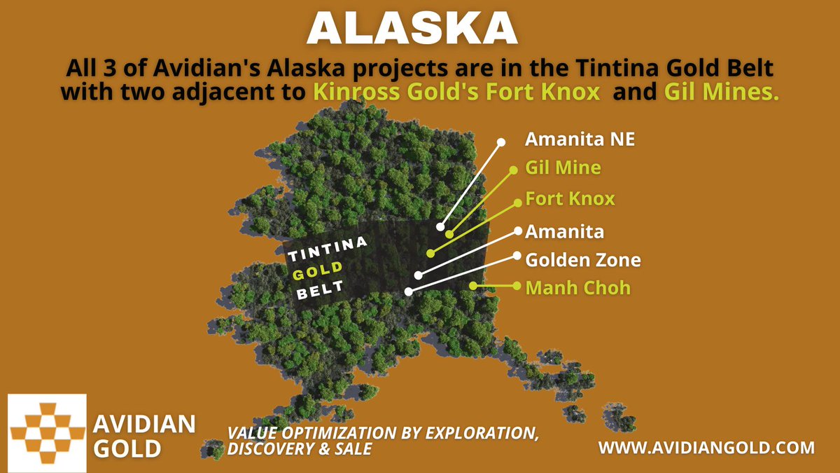 AvidianGold's tweet photo. Did you know that we have 3 gold projects in Alaska and all 3 are located in the Tintina Gold Belt and 2 are adjacent to Kinross Gold's Fort Knox and Gil Mines?

@kinrossgold 

#mining #alaska #gold #goldmining #avg #tsxv #miningstocks #juniormining #kinross https://t.co/0rXpJ8F1tU