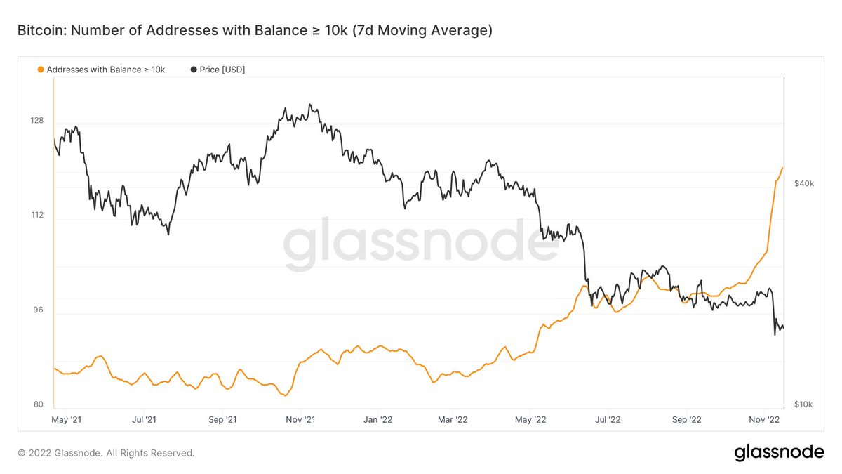 #Bitcoin 10k+ Wallets are spiking significantly! 👇🔥