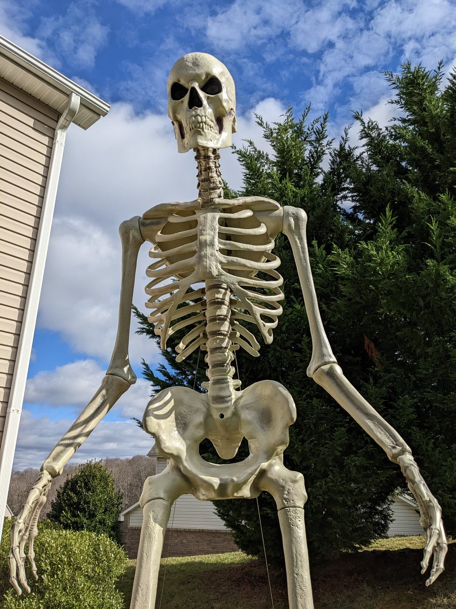 Saberspark's tweet photo. my HOA: "you gotta take down the giant skeleton, Halloween is over"

me: "you mean my giant skeleton Pilgrim?" https://t.co/o4yRmxesmz