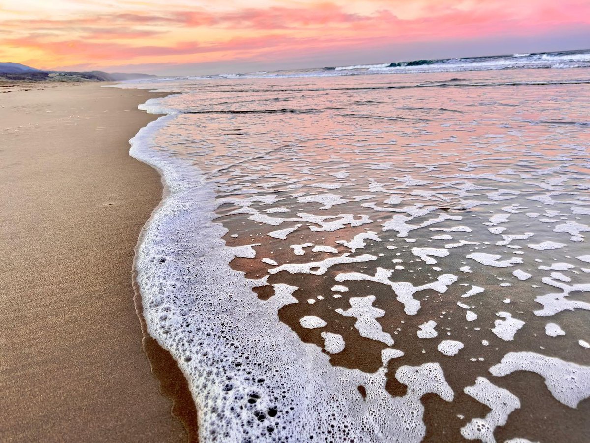 LosOsosBaywood's tweet photo. A beautiful, peaceful MDO sunrise to start your day.
.
.
.
📷@nakamuraphoto
#VisitLosOsosBaywood #WildlyRelaxing #SLOCAl #Highway1Dreaming #CaliforniaBeachLife #MDO #montanadeoro #CCSPA #CaliforniaStateParks #CaliforniaRoadTrip #Hwy1RoadTrip https://t.co/0ruxgq2L9C