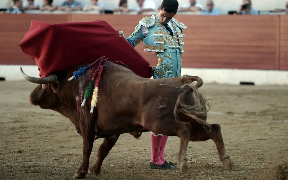 TheArguments_'s tweet photo. Pour ou contre l’interdiction de la corrida 
Fascinant pour les uns, acte de torture pour les autres, le spectacle tauromachique divise. Une proposition de loi veut l’interdire définitivement. 
👉 Par ici les arguments https://t.co/CSn7MfxVbu https://t.co/xRWzAWTTHW