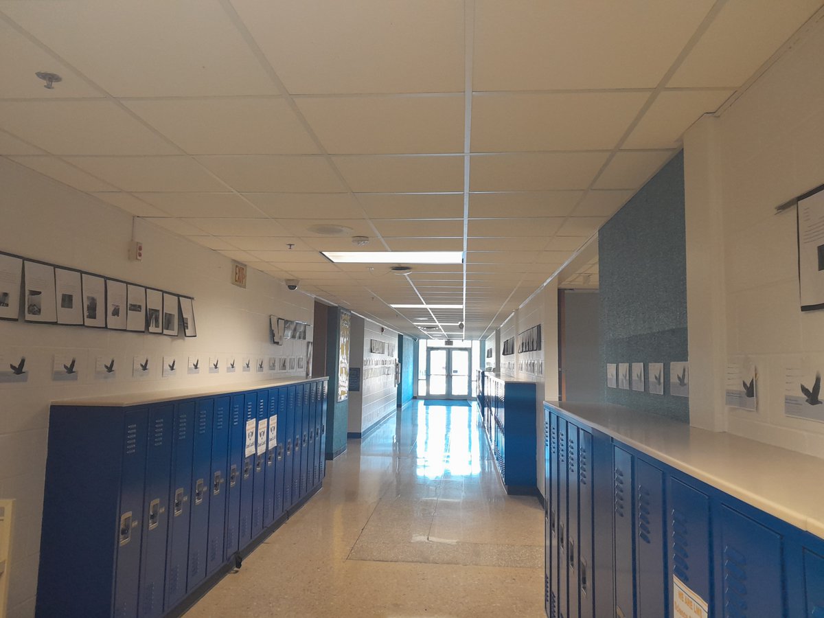 LMS Library tweet media