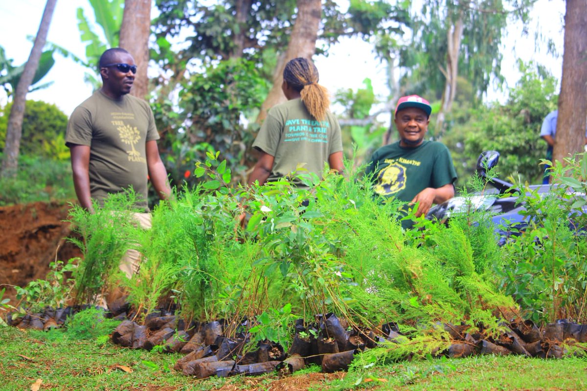 Karasinga3's tweet photo. Nature.. Mother nature our land . let's plant trees for the best,We want rain back.lets do our part now by ensuring everything is in order..@evakimathi
@GreenGrowthHub @CharityShekinah #ForestandClimate #ForestandLanduse
#ClimateAction #OnlyOneEarth https://t.co/YwyMtOUkdN