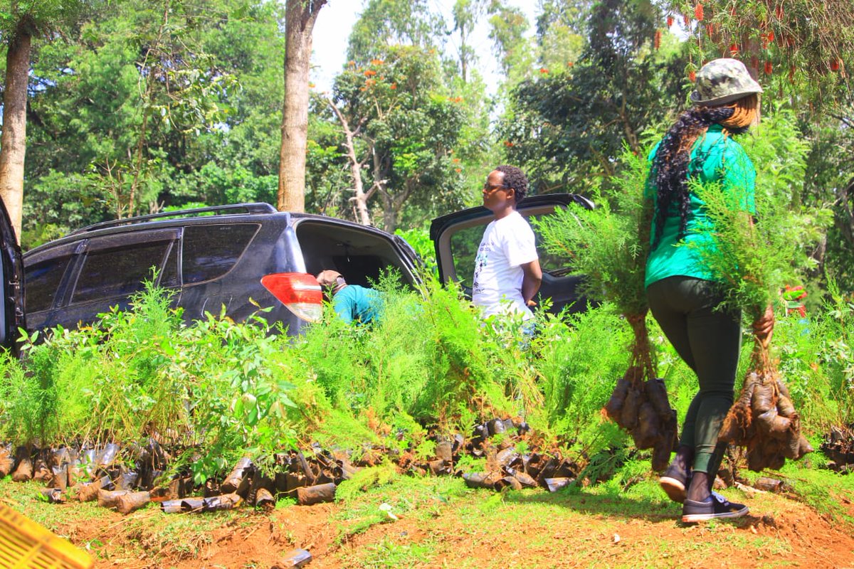 Karasinga3's tweet photo. Nature.. Mother nature our land . let's plant trees for the best,We want rain back.lets do our part now by ensuring everything is in order..@evakimathi
@GreenGrowthHub @CharityShekinah #ForestandClimate #ForestandLanduse
#ClimateAction #OnlyOneEarth https://t.co/YwyMtOUkdN