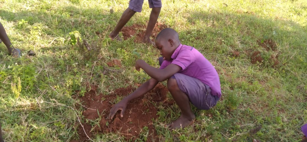Karasinga3's tweet photo. Nature.. Mother nature our land . let's plant trees for the best,We want rain back.lets do our part now by ensuring everything is in order..@evakimathi
@GreenGrowthHub @CharityShekinah #ForestandClimate #ForestandLanduse
#ClimateAction #OnlyOneEarth https://t.co/YwyMtOUkdN