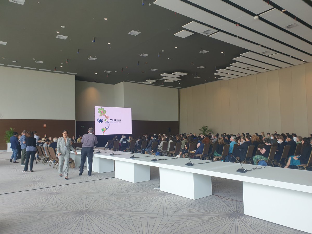 dkachelriess1's tweet photo. #CITESCoP19 host country @MiAmbientePma 's side event on its #sharks proposal is packed - great turn out. Minister @MConcepcionL introducing the proposal. https://t.co/DRNRDGGhCr