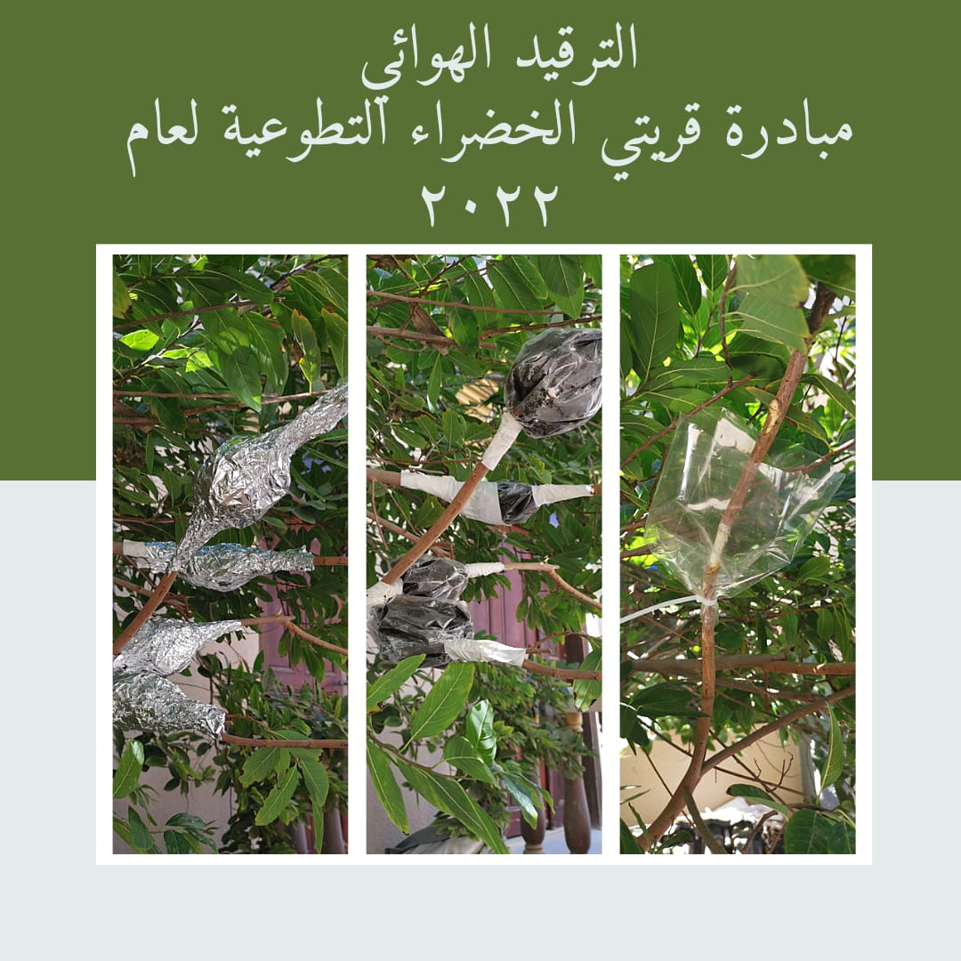 قريبا نبدأ المرحلة الثانية مبادرة التشجير الأهلية موسم ٢٠٢٢م