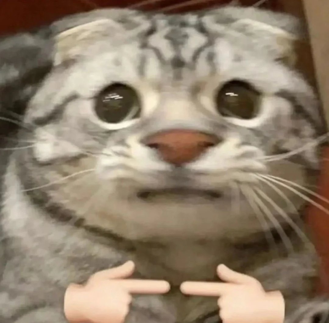 bendanmeinv's tweet photo. @100MHzRadio 对不起你的猫猫这个表情真的很像抖音上那个西瓜头猫猫 https://t.co/2PhwZl2rBl